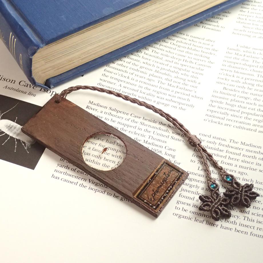 カゲロウ類樹脂封入標本プレパラート1枚目の画像