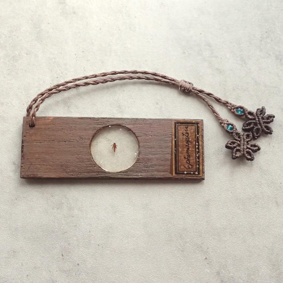 カゲロウ類樹脂封入標本プレパラート | 2枚目