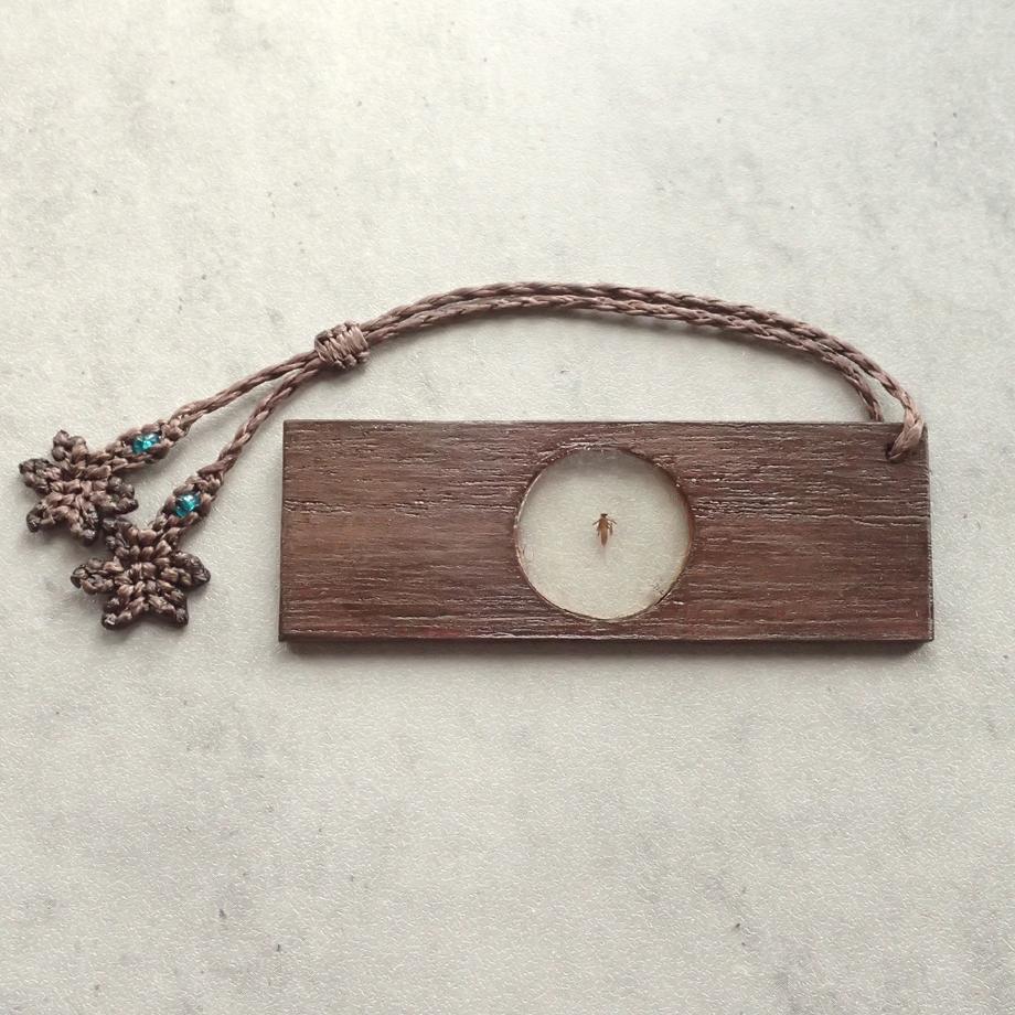 カゲロウ類樹脂封入標本プレパラート | 3枚目