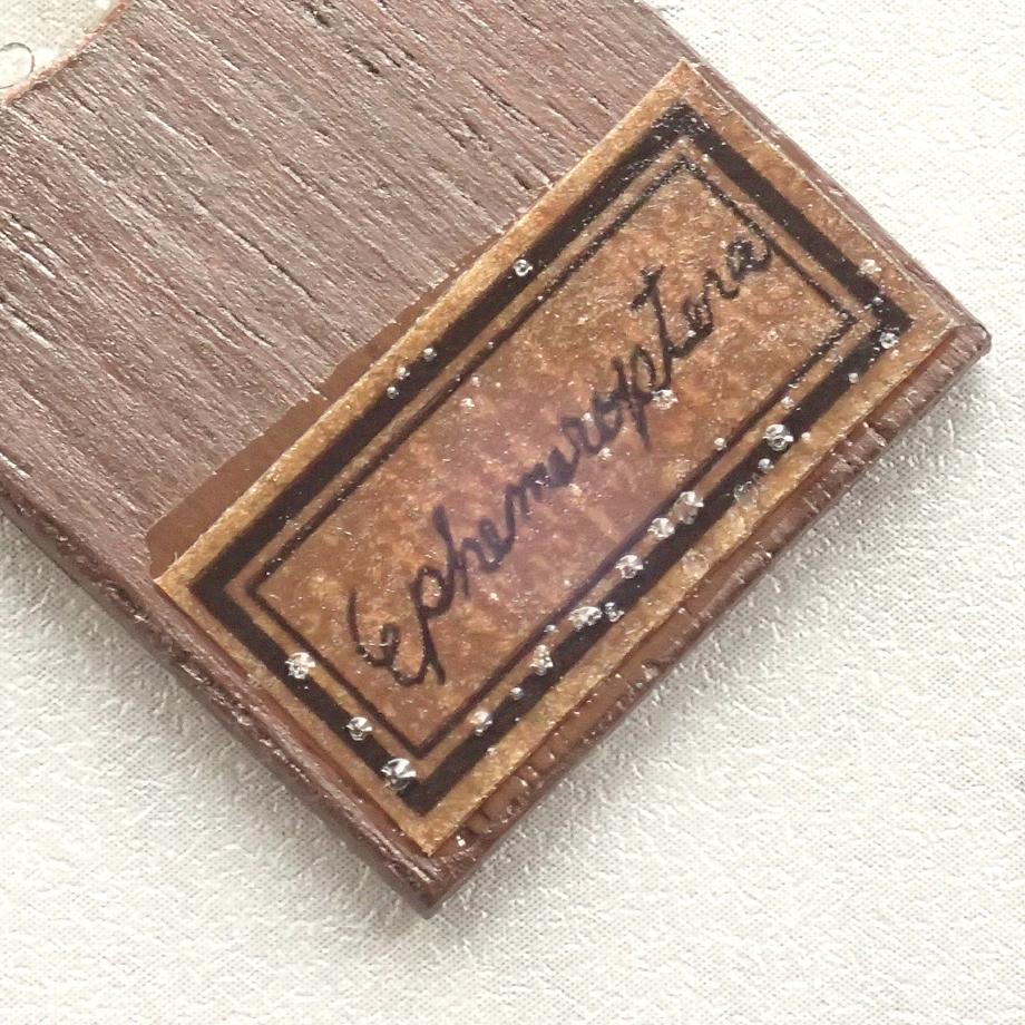 カゲロウ類樹脂封入標本プレパラート | 6枚目