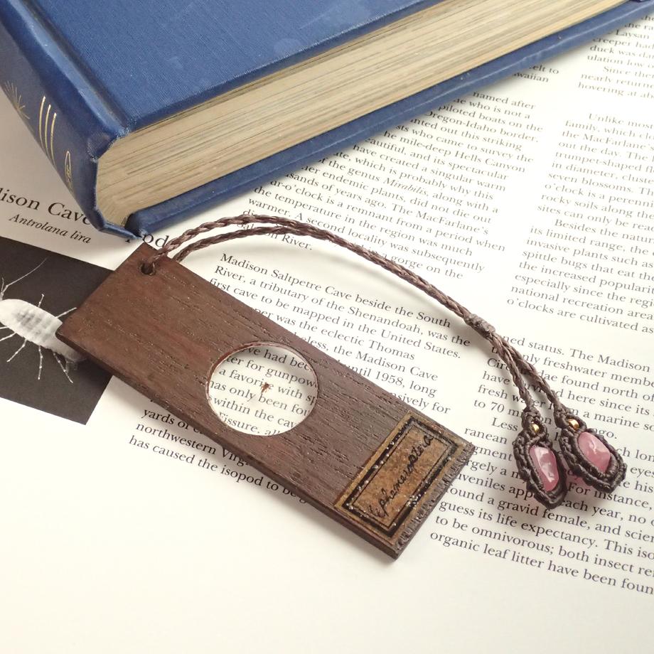 カゲロウ類樹脂封入標本プレパラート | 5枚目