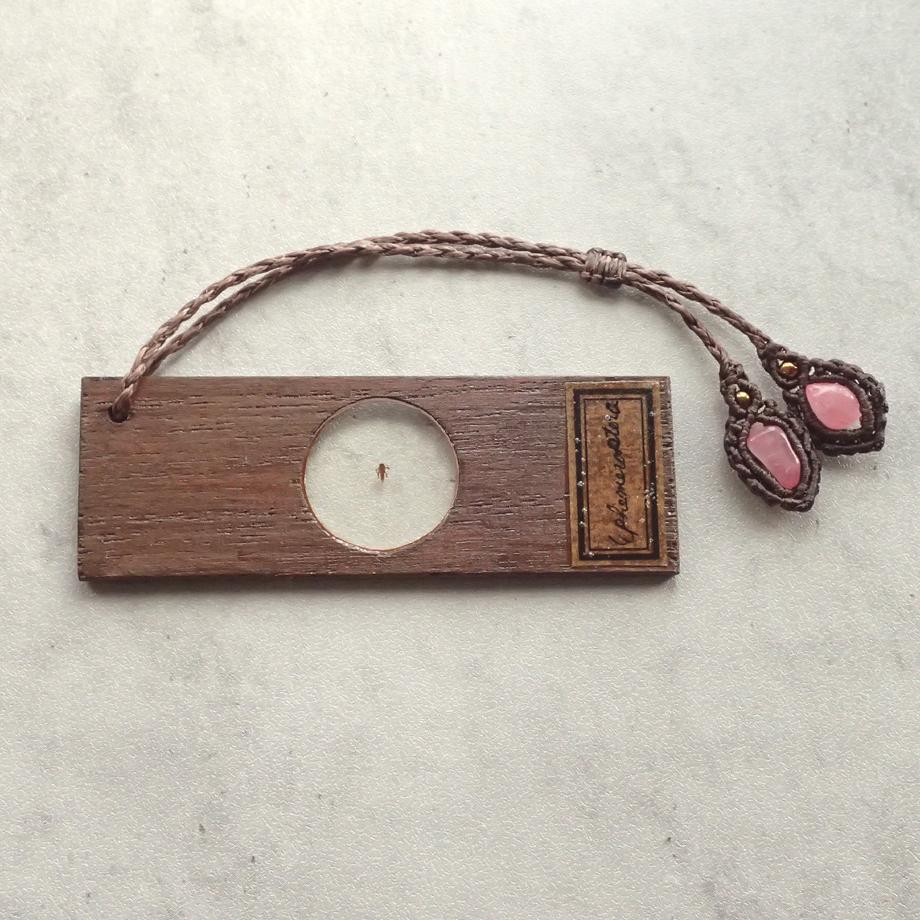 カゲロウ類樹脂封入標本プレパラート | 6枚目