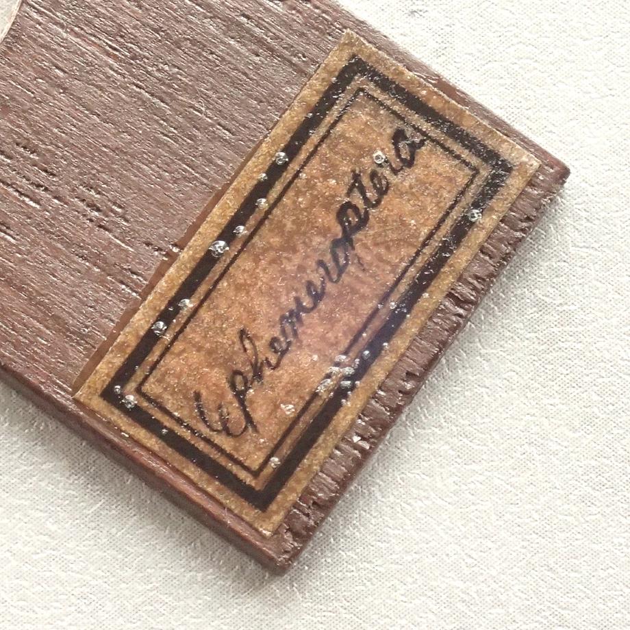 カゲロウ類樹脂封入標本プレパラート | 10枚目