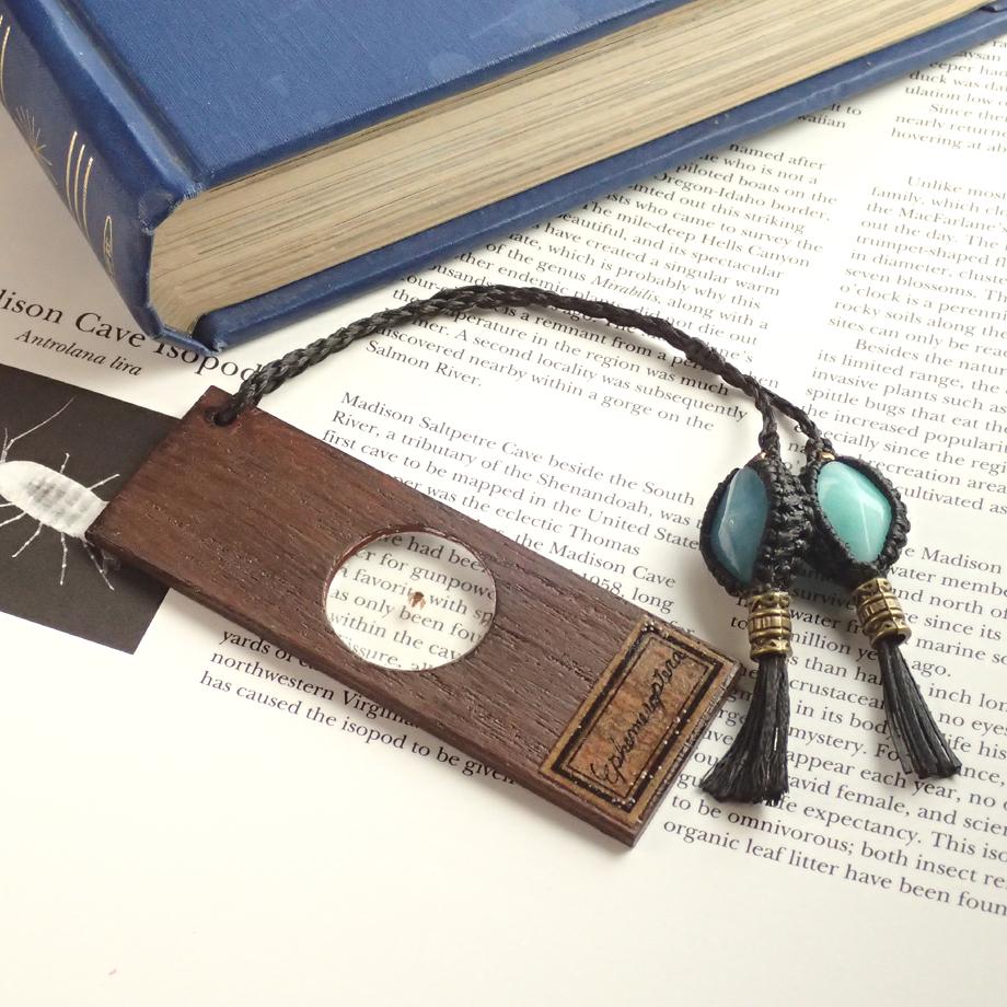 カゲロウ類樹脂封入標本プレパラート1枚目の画像