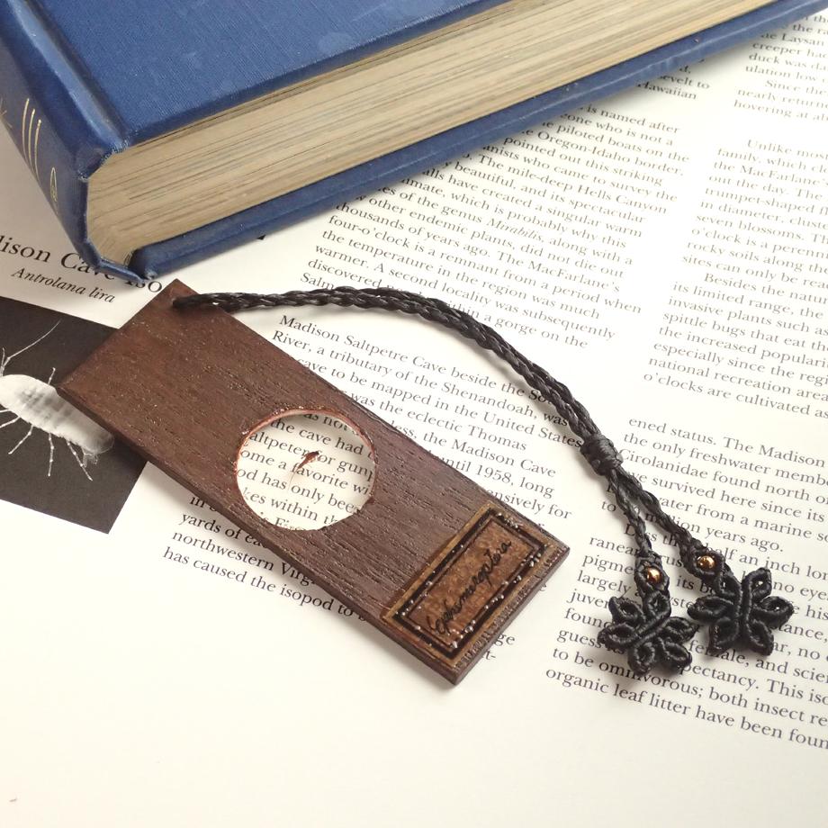 カゲロウ類樹脂封入標本プレパラート | 5枚目