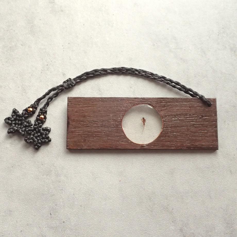 カゲロウ類樹脂封入標本プレパラート | 7枚目