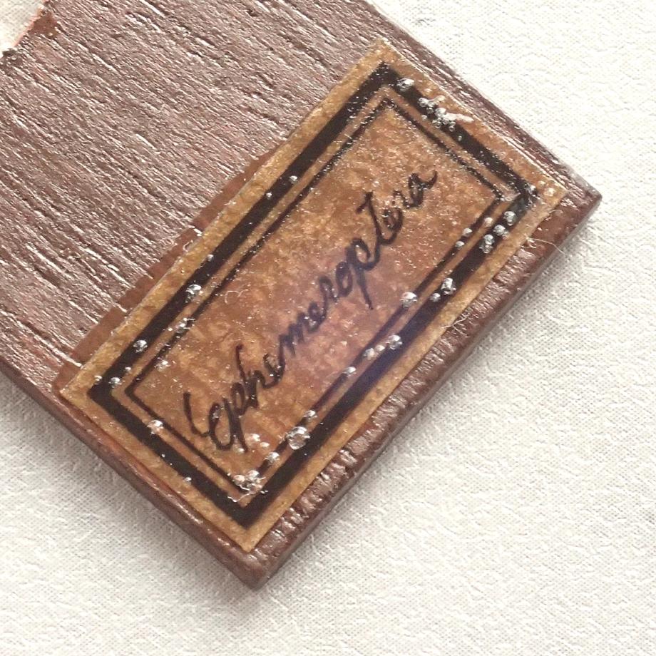 カゲロウ類樹脂封入標本プレパラート | 10枚目