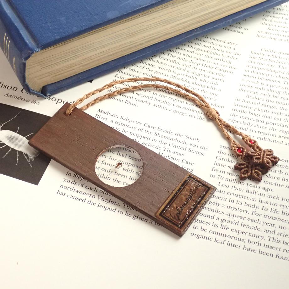 カゲロウ類樹脂封入標本プレパラート | 6枚目