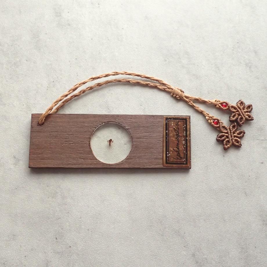 カゲロウ類樹脂封入標本プレパラート | 7枚目