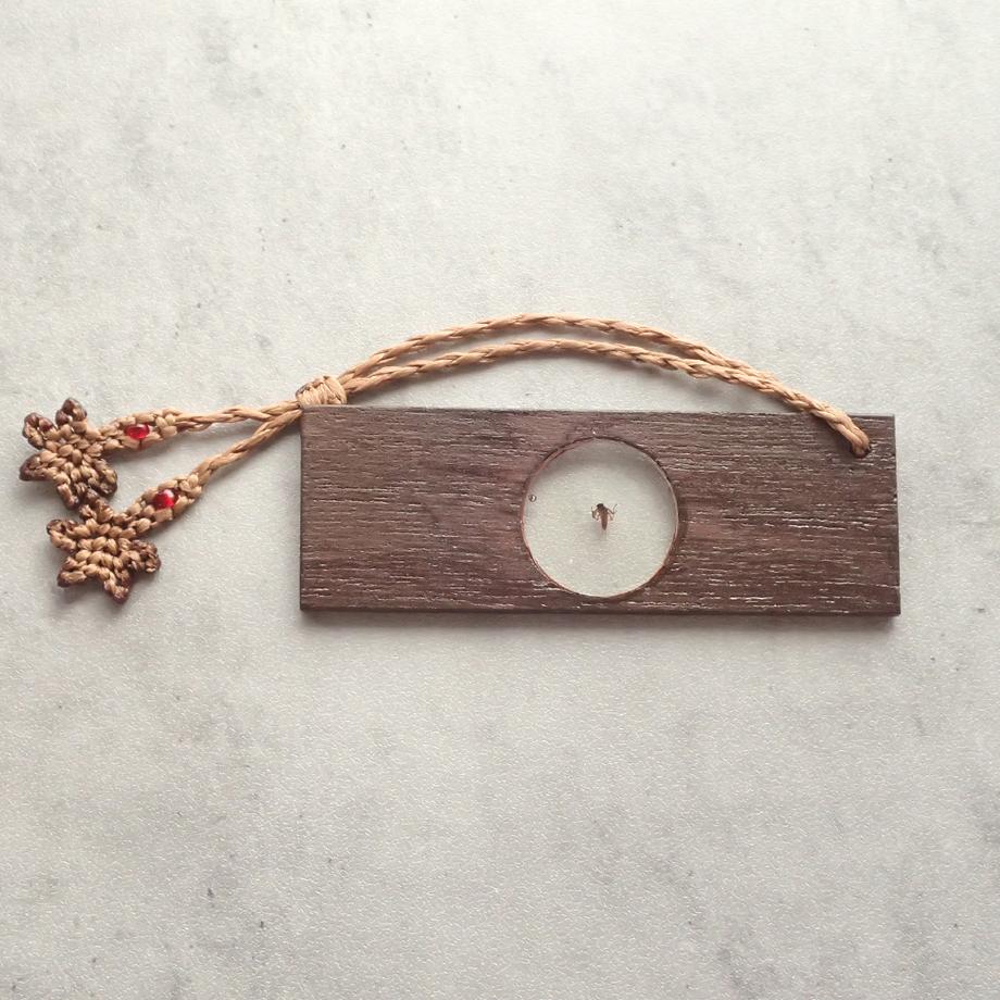 カゲロウ類樹脂封入標本プレパラート | 8枚目