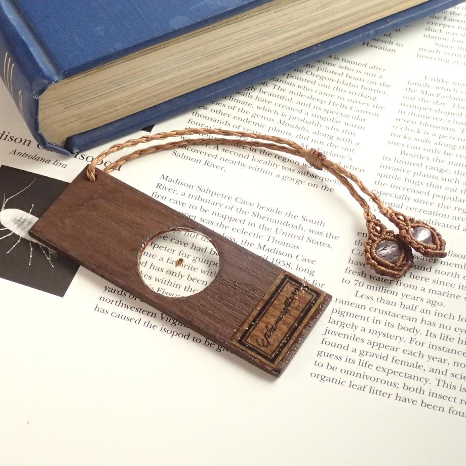 カゲロウ類樹脂封入標本プレパラート | 5枚目