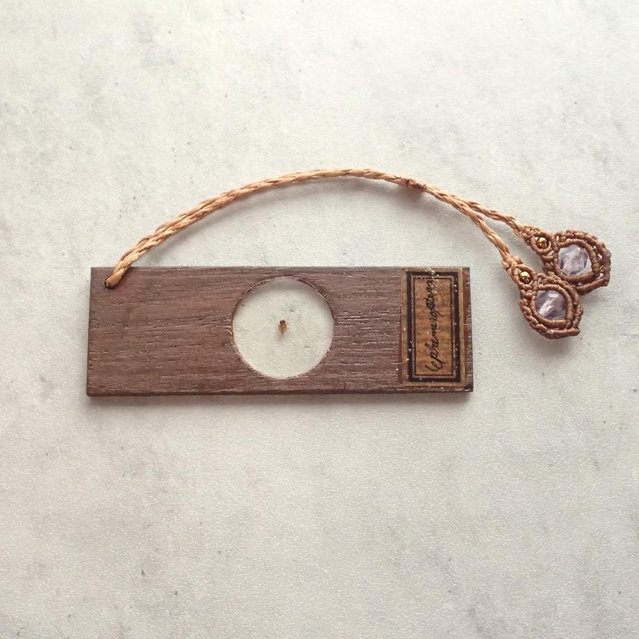 カゲロウ類樹脂封入標本プレパラート | 6枚目