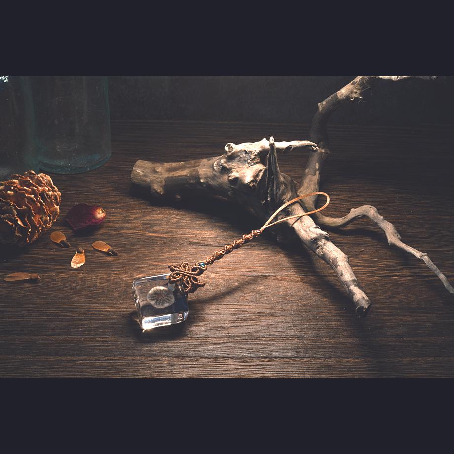 ハスノハカシパン樹脂封入標本ストラップ | 10枚目