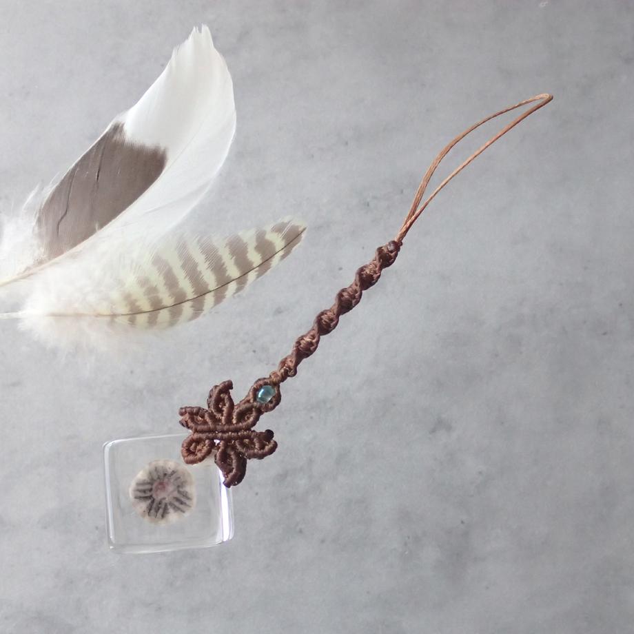 ハスノハカシパン樹脂封入標本ストラップ | 5枚目