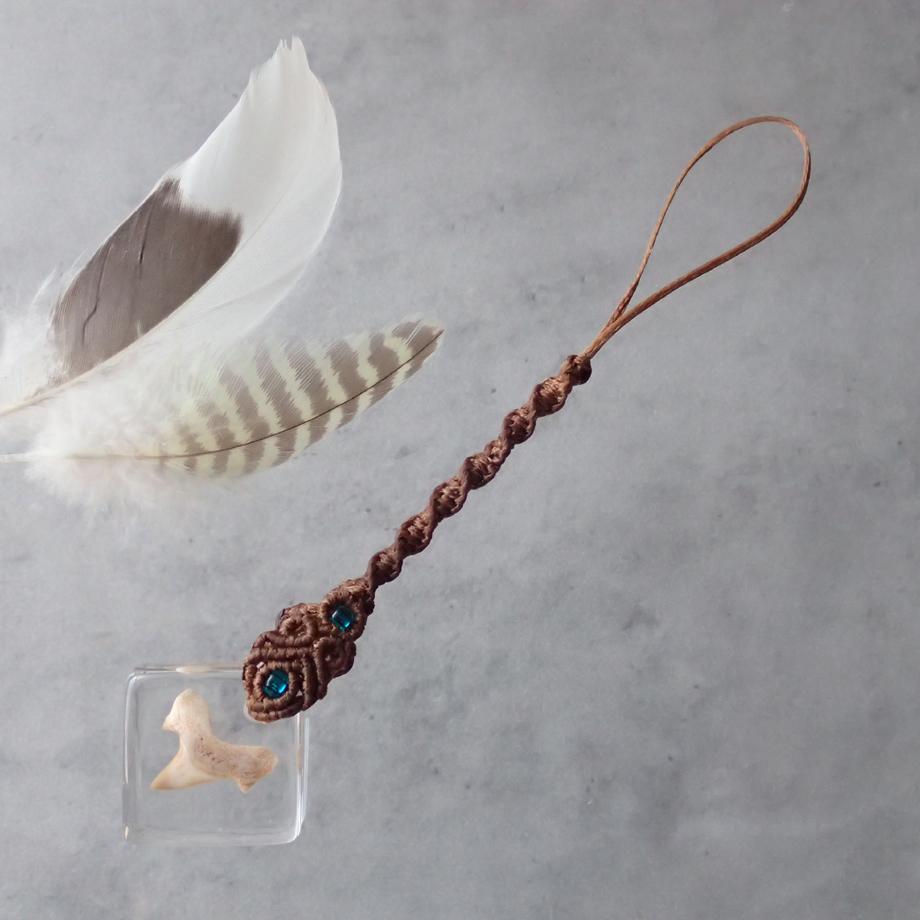 サメの歯樹脂封入標本ストラップ