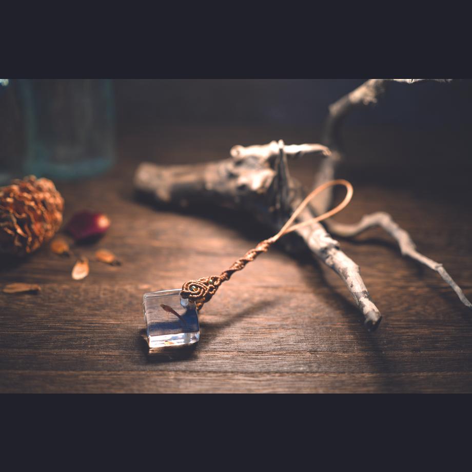 魚類樹脂封入標本ストラップ | 6枚目