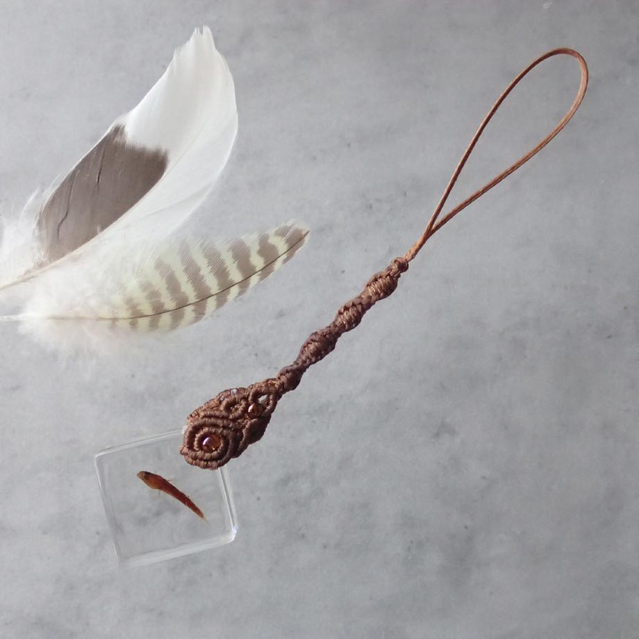 魚類樹脂封入標本ストラップ1枚目の画像