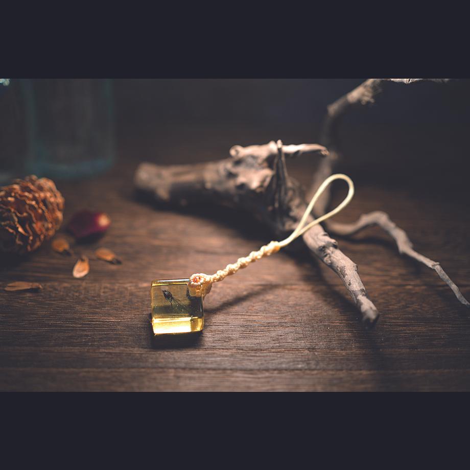 魚類二重染色樹脂封入標本ストラップ | 6枚目