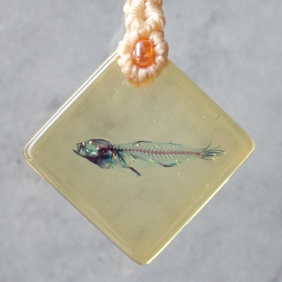 魚類二重染色樹脂封入標本ストラップ | 2枚目