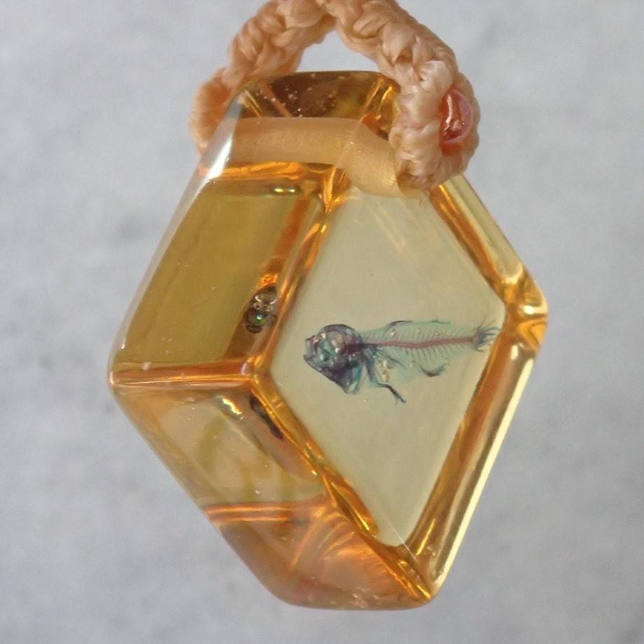 魚類二重染色樹脂封入標本ストラップ | 3枚目