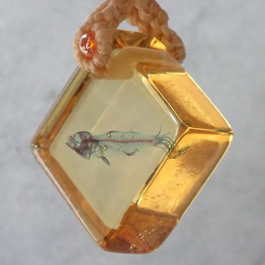 魚類二重染色樹脂封入標本ストラップ | 4枚目