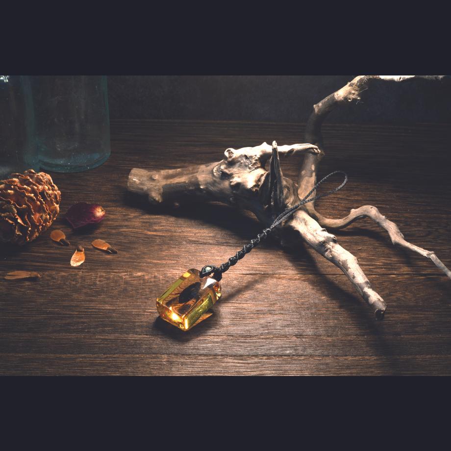 ゲンゴロウ類樹脂封入標本ストラップ | 6枚目