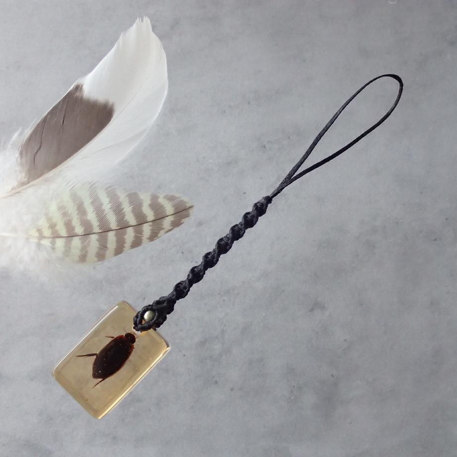 ゲンゴロウ類樹脂封入標本ストラップ1枚目の画像