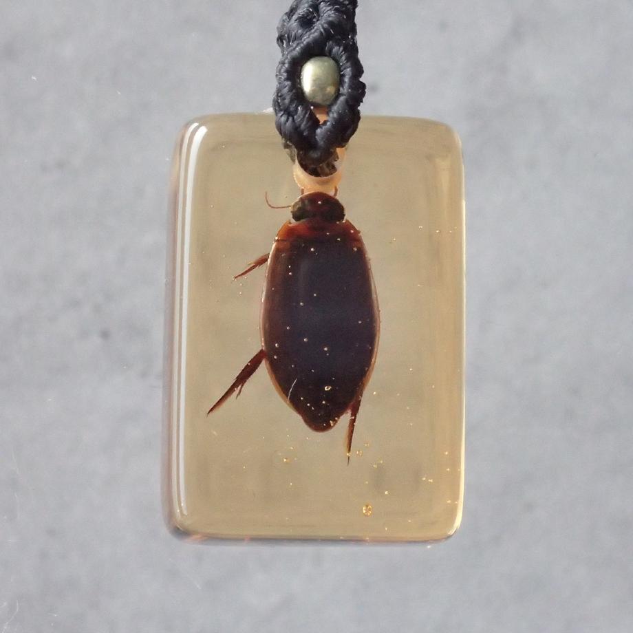 ゲンゴロウ類樹脂封入標本ストラップ | 2枚目