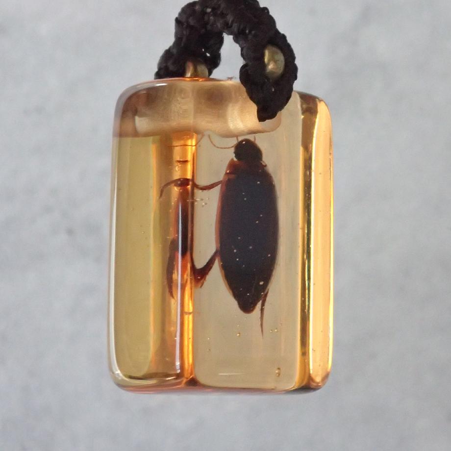 ゲンゴロウ類樹脂封入標本ストラップ | 3枚目