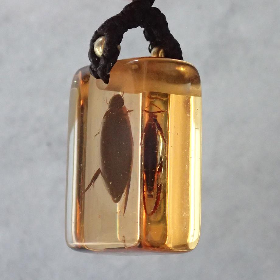 ゲンゴロウ類樹脂封入標本ストラップ | 4枚目