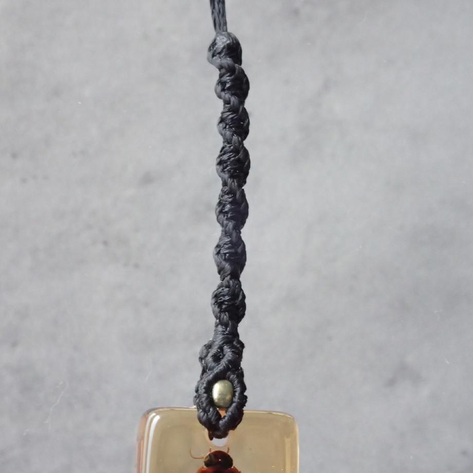 ゲンゴロウ類樹脂封入標本ストラップ | 5枚目