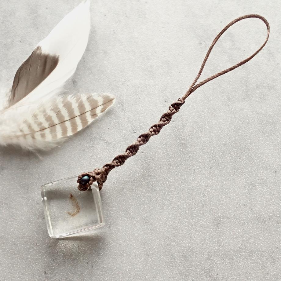 ヨコエビ類樹脂封入標本ストラップ