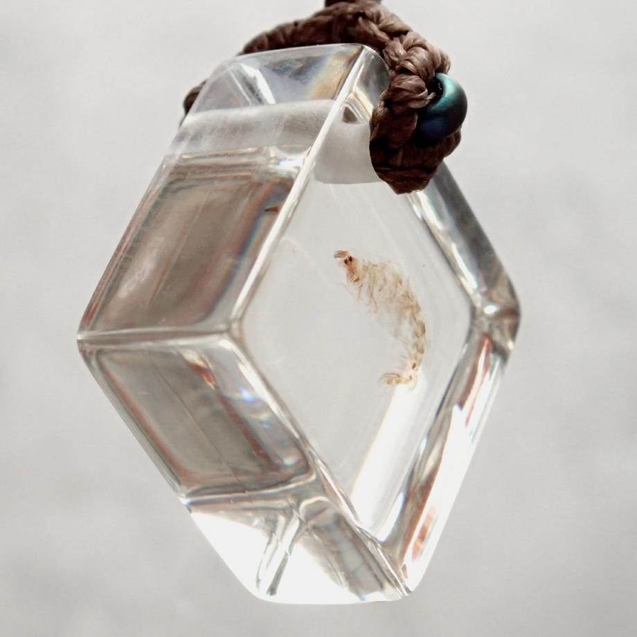 ヨコエビ類樹脂封入標本ストラップ | 3枚目