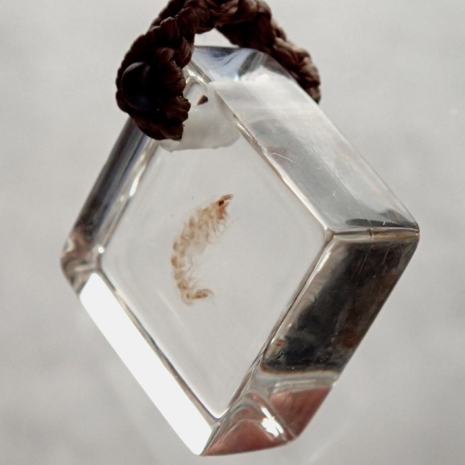 ヨコエビ類樹脂封入標本ストラップ | 4枚目