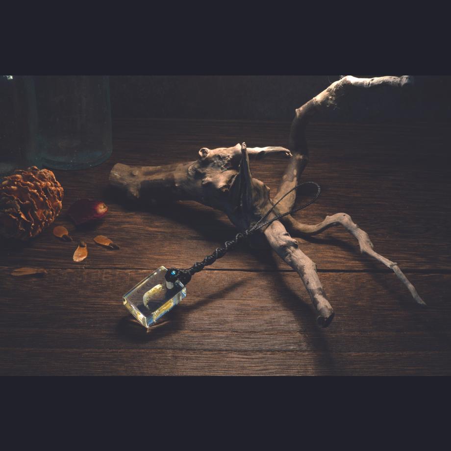 エビ類樹脂封入標本ストラップ | 6枚目