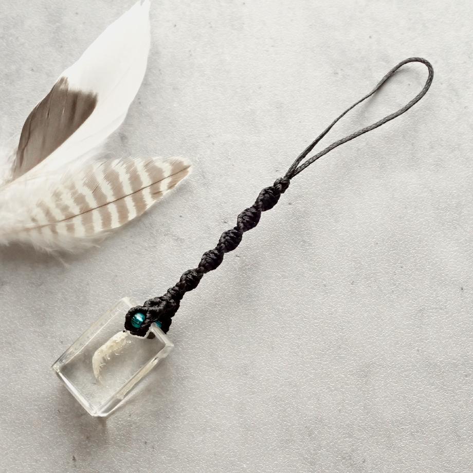 エビ類樹脂封入標本ストラップ1枚目の画像