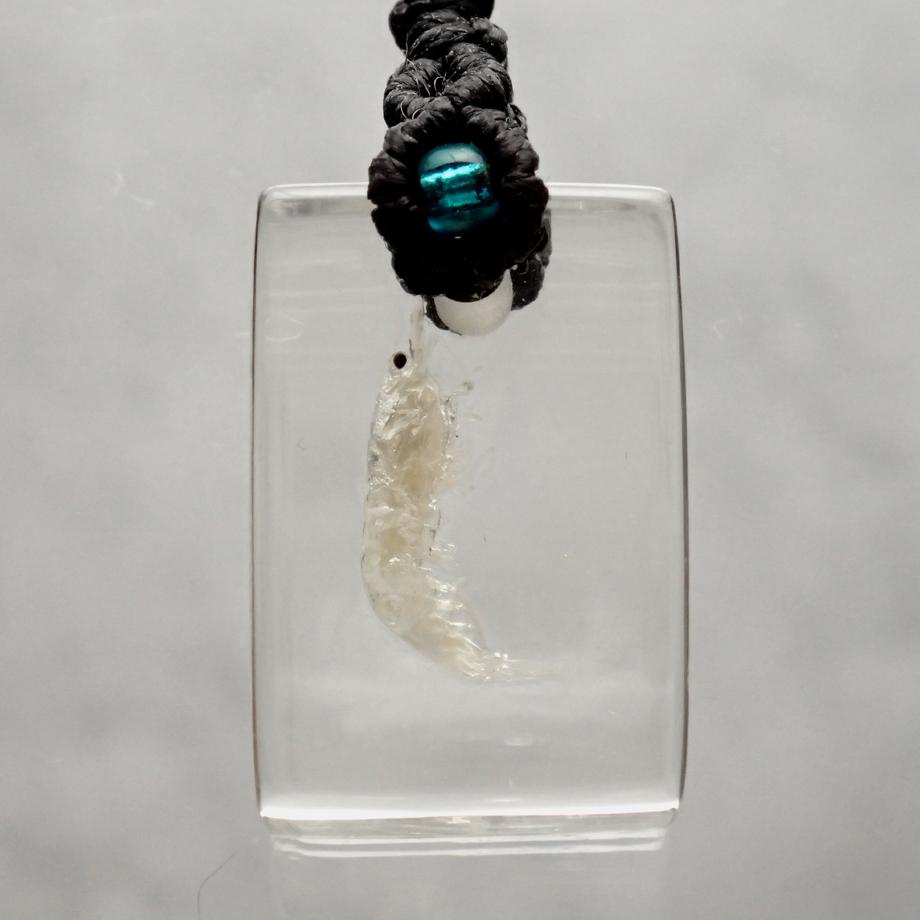 エビ類樹脂封入標本ストラップ | 2枚目