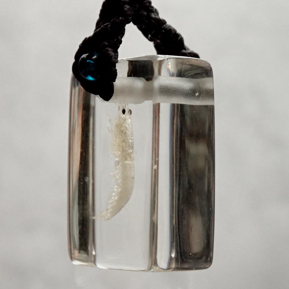 エビ類樹脂封入標本ストラップ | 4枚目