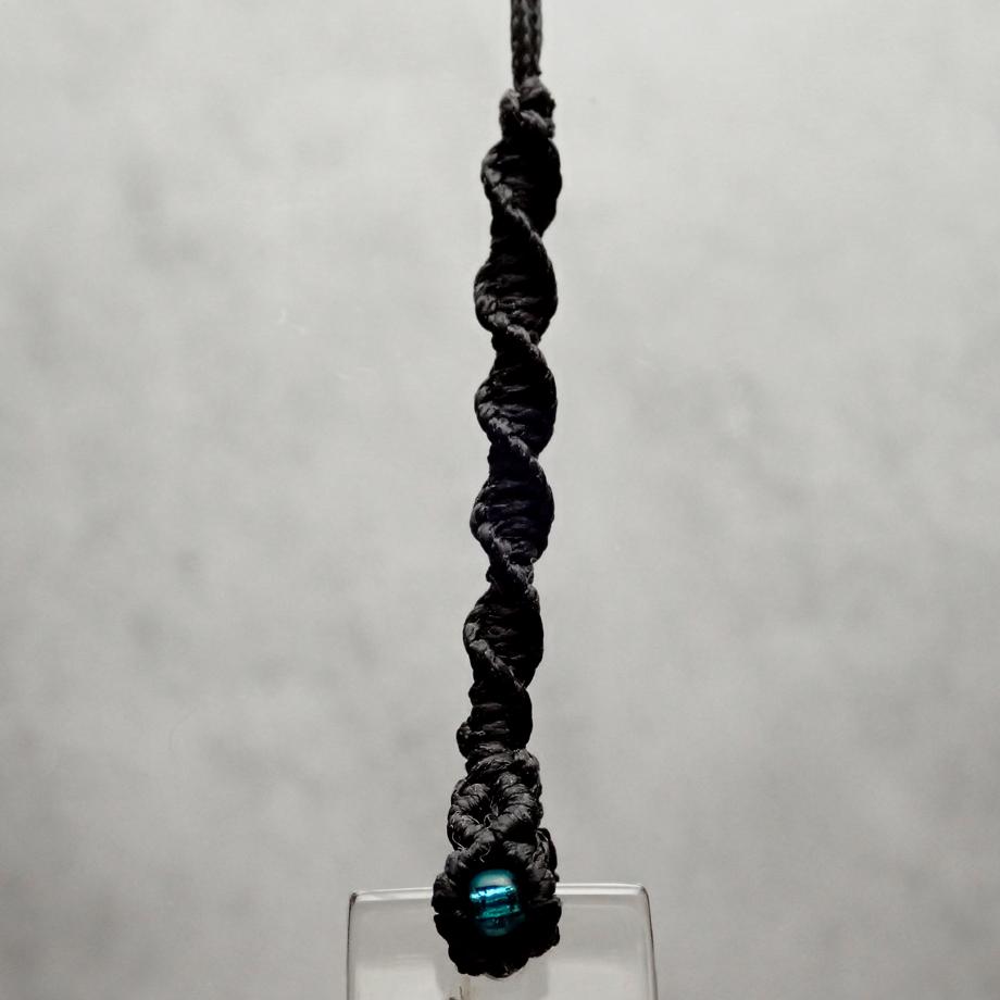 エビ類樹脂封入標本ストラップ | 5枚目