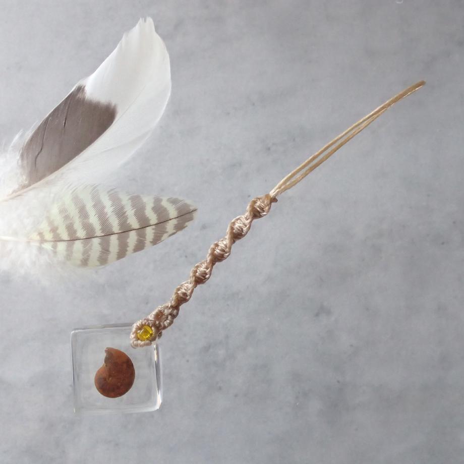 アンモナイト樹脂封入標本ストラップ1枚目の画像