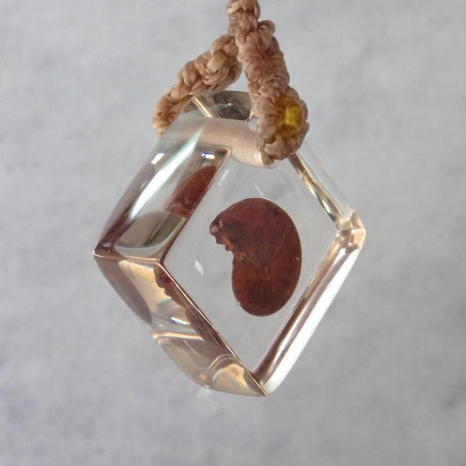 アンモナイト樹脂封入標本ストラップ | 3枚目