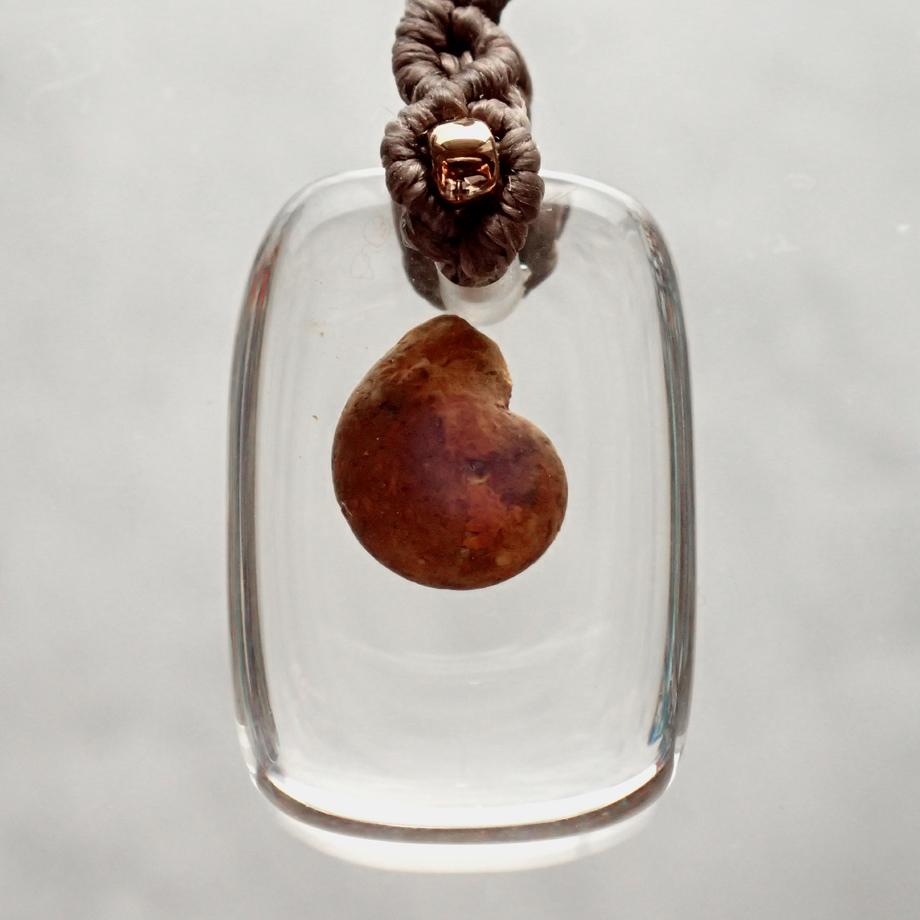 アンモナイト樹脂封入標本ストラップ | 2枚目