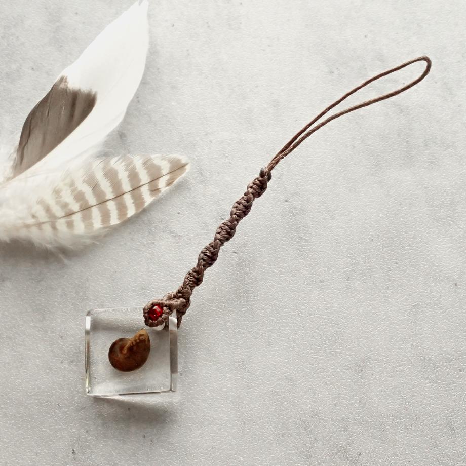 アンモナイト樹脂封入標本ストラップ1枚目の画像