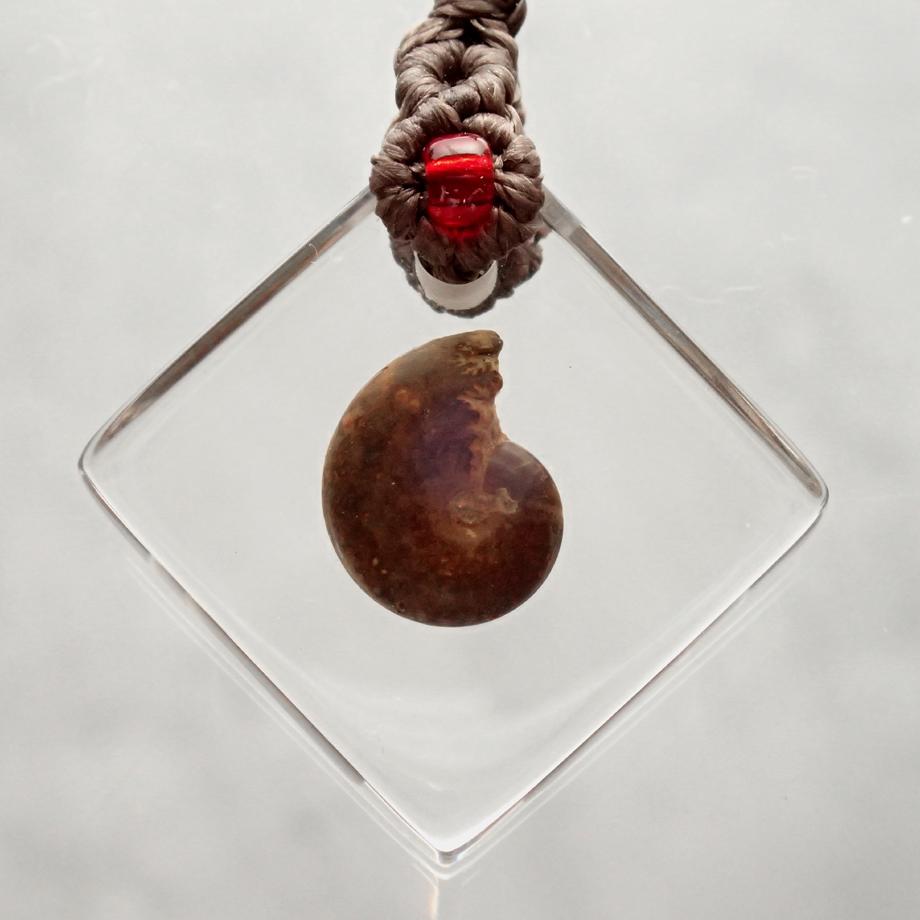 アンモナイト樹脂封入標本ストラップ | 2枚目