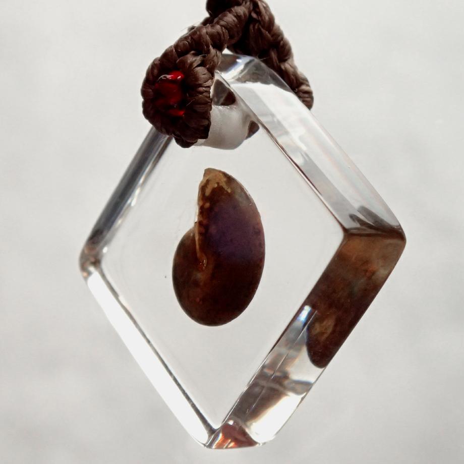 アンモナイト樹脂封入標本ストラップ | 4枚目