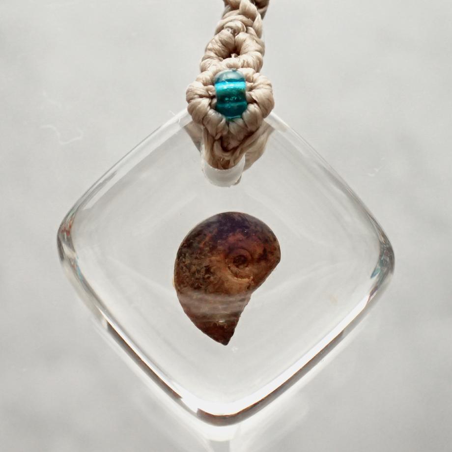 アンモナイト樹脂封入標本ストラップ | 2枚目