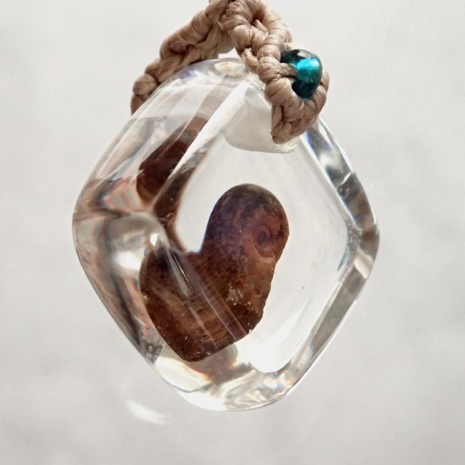 アンモナイト樹脂封入標本ストラップ | 3枚目