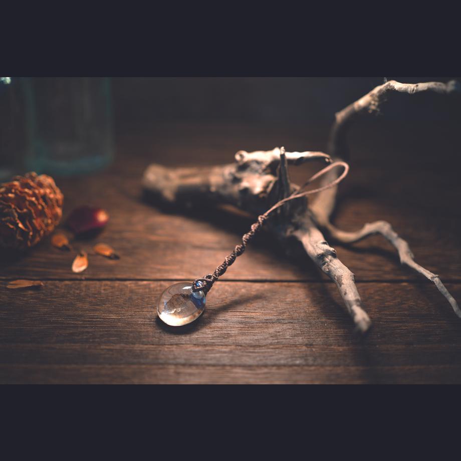 等脚類樹脂封入標本ストラップ | 6枚目