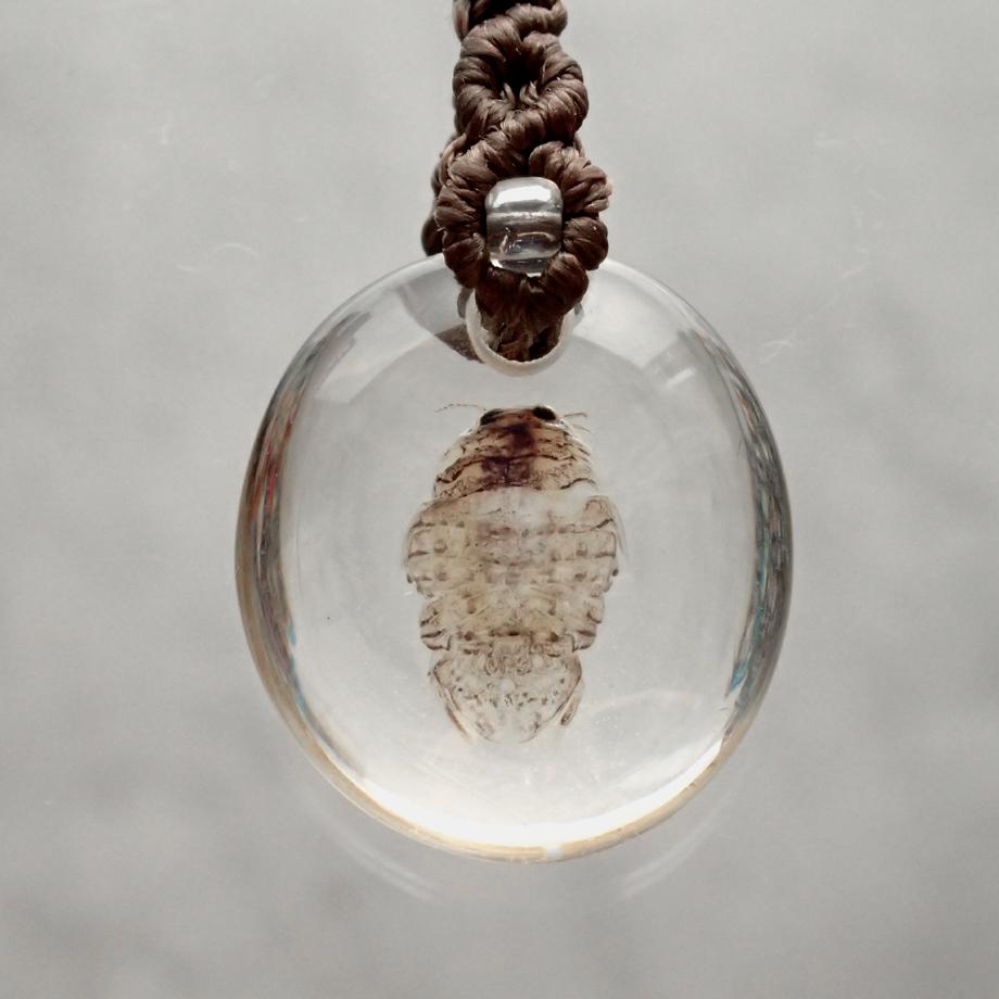 等脚類樹脂封入標本ストラップ | 2枚目