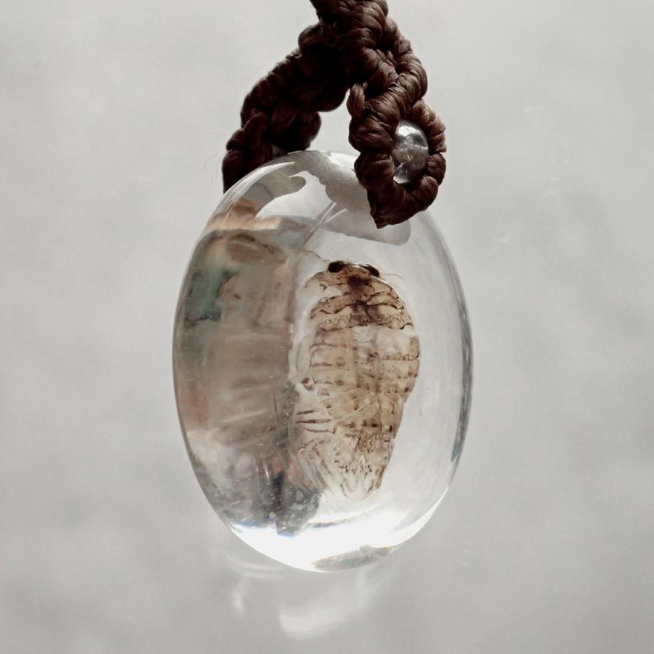 等脚類樹脂封入標本ストラップ | 3枚目